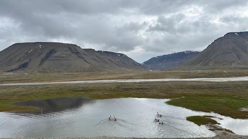 Svalbard bildet tatt av Ine-Therese Pedersen