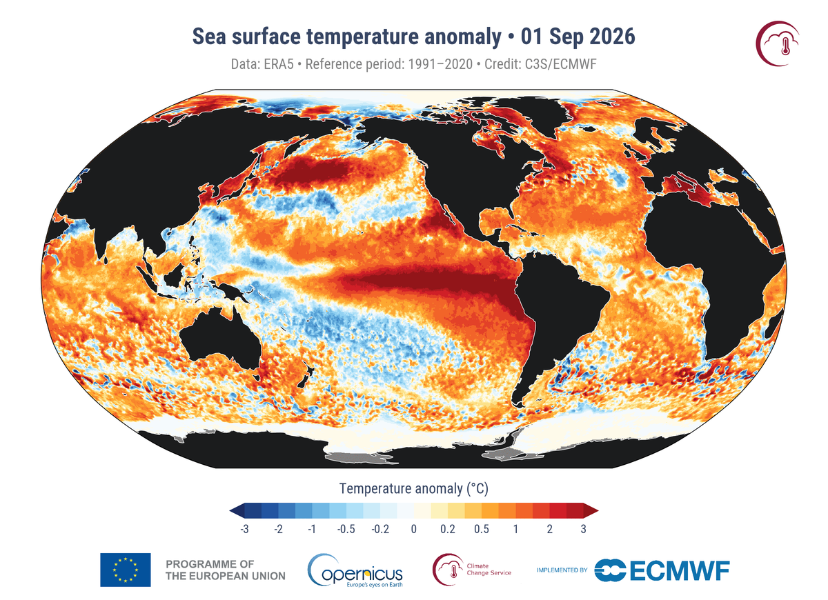 Illustrasjon av verden med fokus på hav, og spesielt Stillehavet, markert i røde farger for å indikerer høye temperaturer. Illustrasjonen er hentet fra pulse.climate.copernicus.eu/